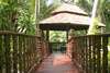 Coconut Grove 